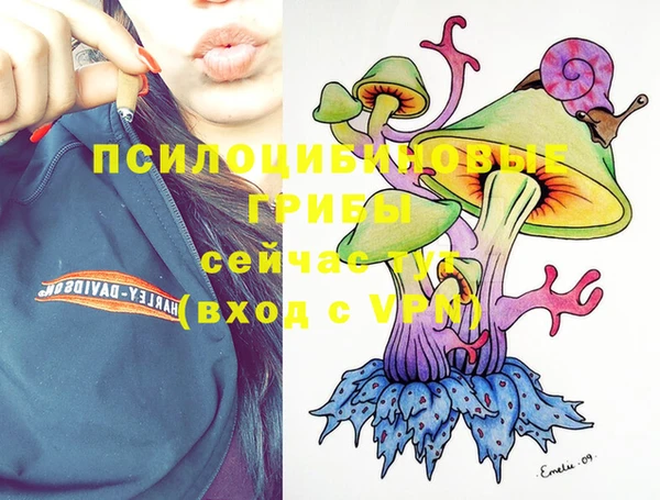 2c-b Абдулино