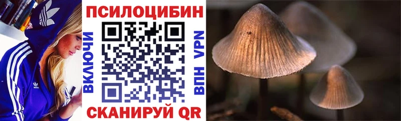 наркошоп  Златоуст  Псилоцибиновые грибы Cubensis 